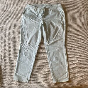 Talbot’s women’s slim ankle pale blue pants size 16w